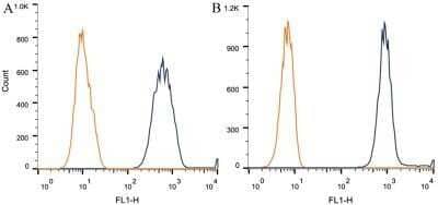 Flow Cytometry: alpha Tubulin Antibody (DM1A) - Azide and BSA Free [NBP2-80570]