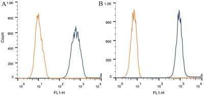 Flow Cytometry: alpha Tubulin Antibody (DM1A) - BSA Free [NB100-690]