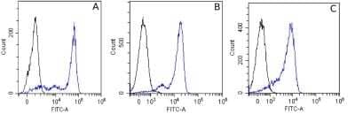 Flow Cytometry: alpha Tubulin Antibody (F2C) - Chimeric - Azide and BSA Free [NBP3-09006]