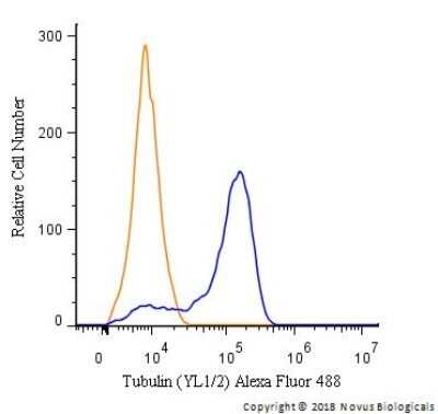 Flow Cytometry: alpha Tubulin Antibody (YL1/2) - Azide and BSA Free [NBP2-80571]