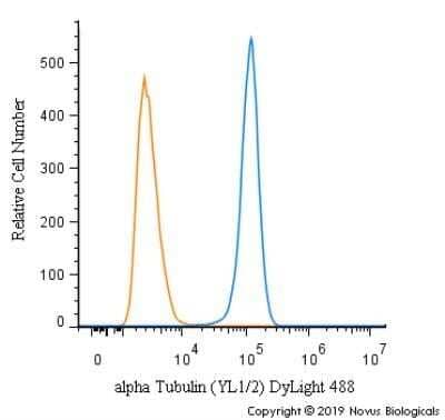 Flow Cytometry: alpha Tubulin Antibody (YL1/2) - Azide and BSA Free [NBP2-80571]
