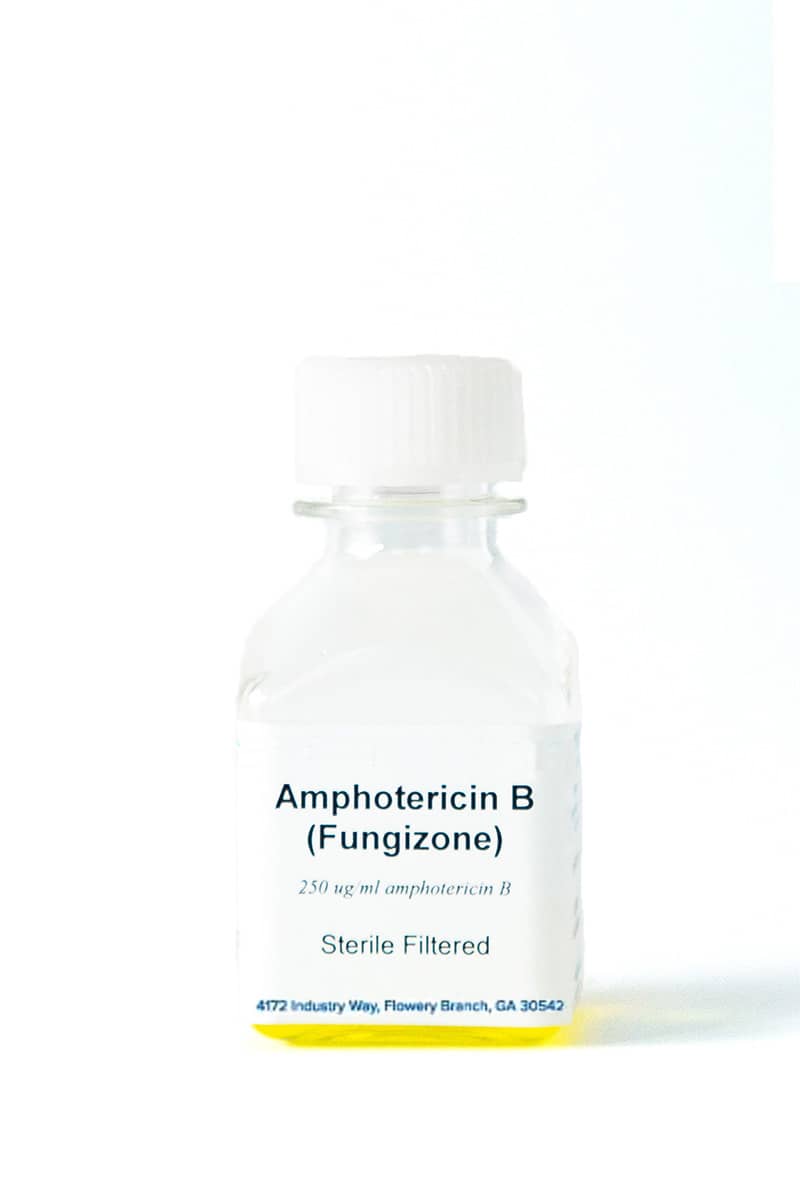 Amphotericin B (Fungizone)