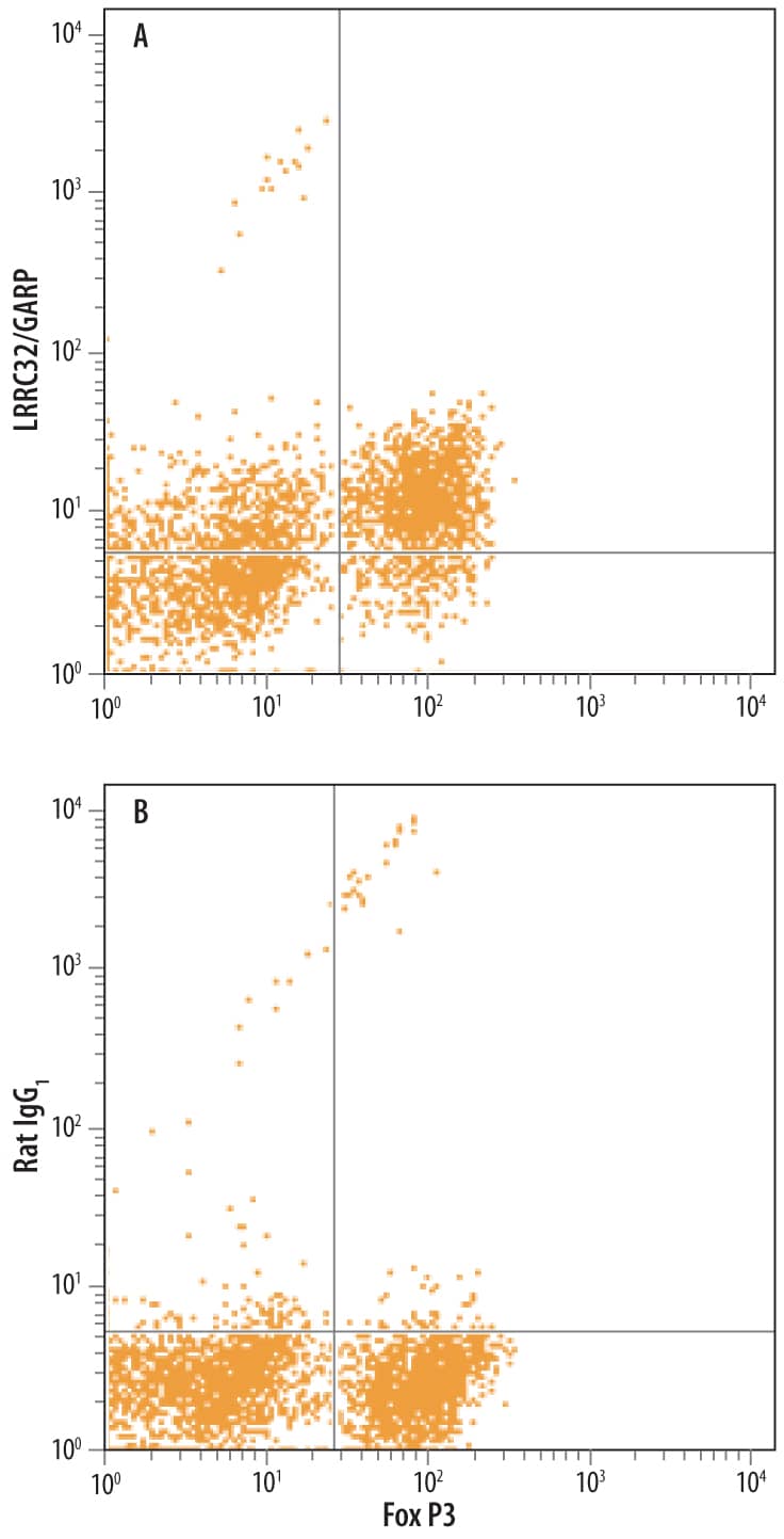 Detection of LRRC-32 antibody in Mouse Splenocytes antibody by Flow Cytometry.