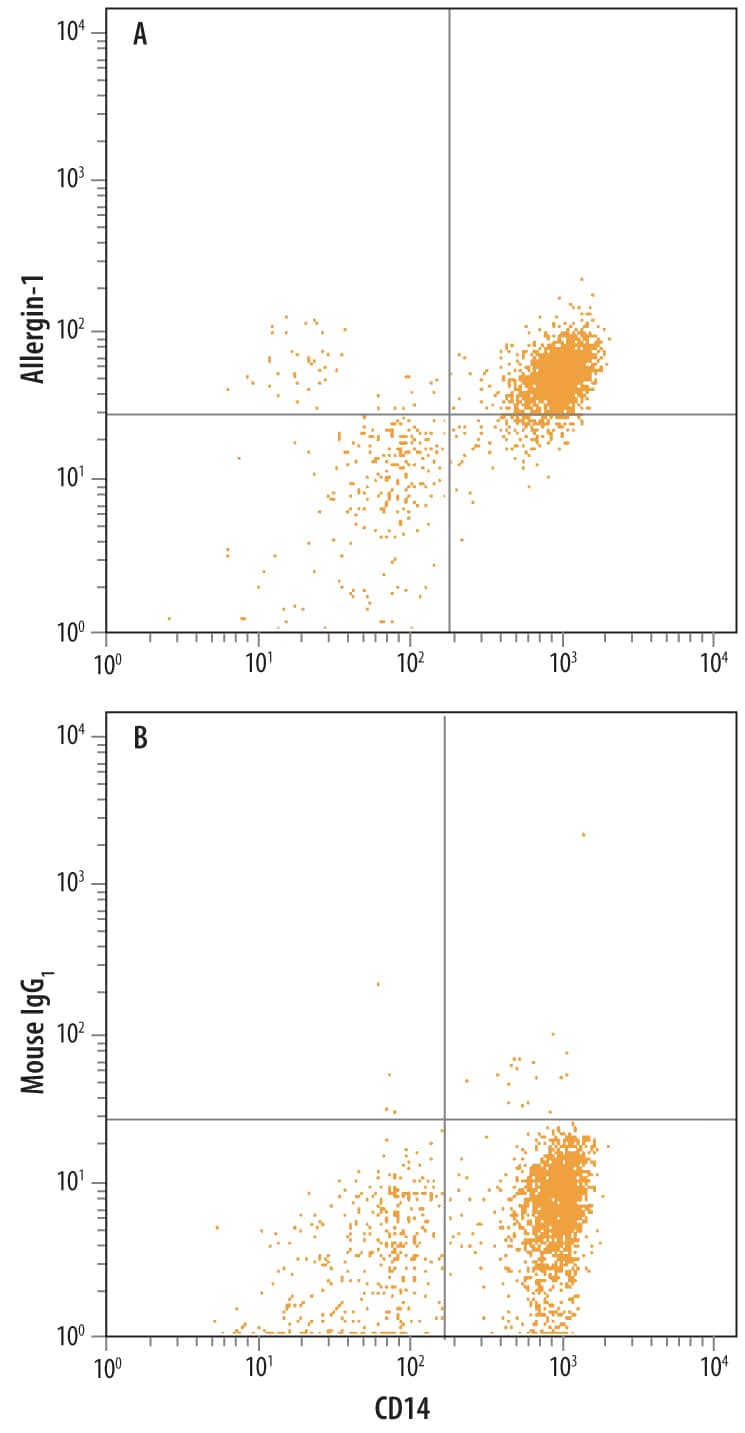 Detection of Allergin-1 antibody in Human Blood Monocytes antibody by Flow Cytometry.