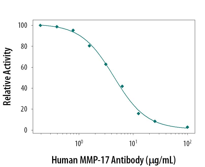 Neutralization of Human MMP‑17 by Human MMP-17 Antibody.