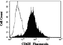 Detection of CD62E antibody in HUVECs antibody by Flow Cytometry.