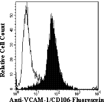 Detection of VCAM-1/CD106 antibody in HUT-78 Human Cell Line antibody by Flow Cytometry.