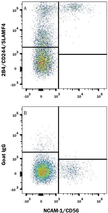 Detection of 2B4/CD244/SLAMF4 antibody in Human PBMCs antibody by Flow Cytometry.