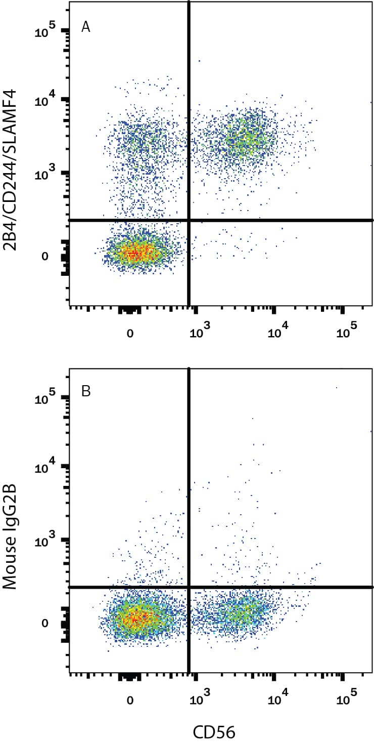 Detection of 2B4/CD244/SLAMF4 antibody in HEK293 Human Peripheral Blood Lymphocytes antibody by Flow Cytometry.