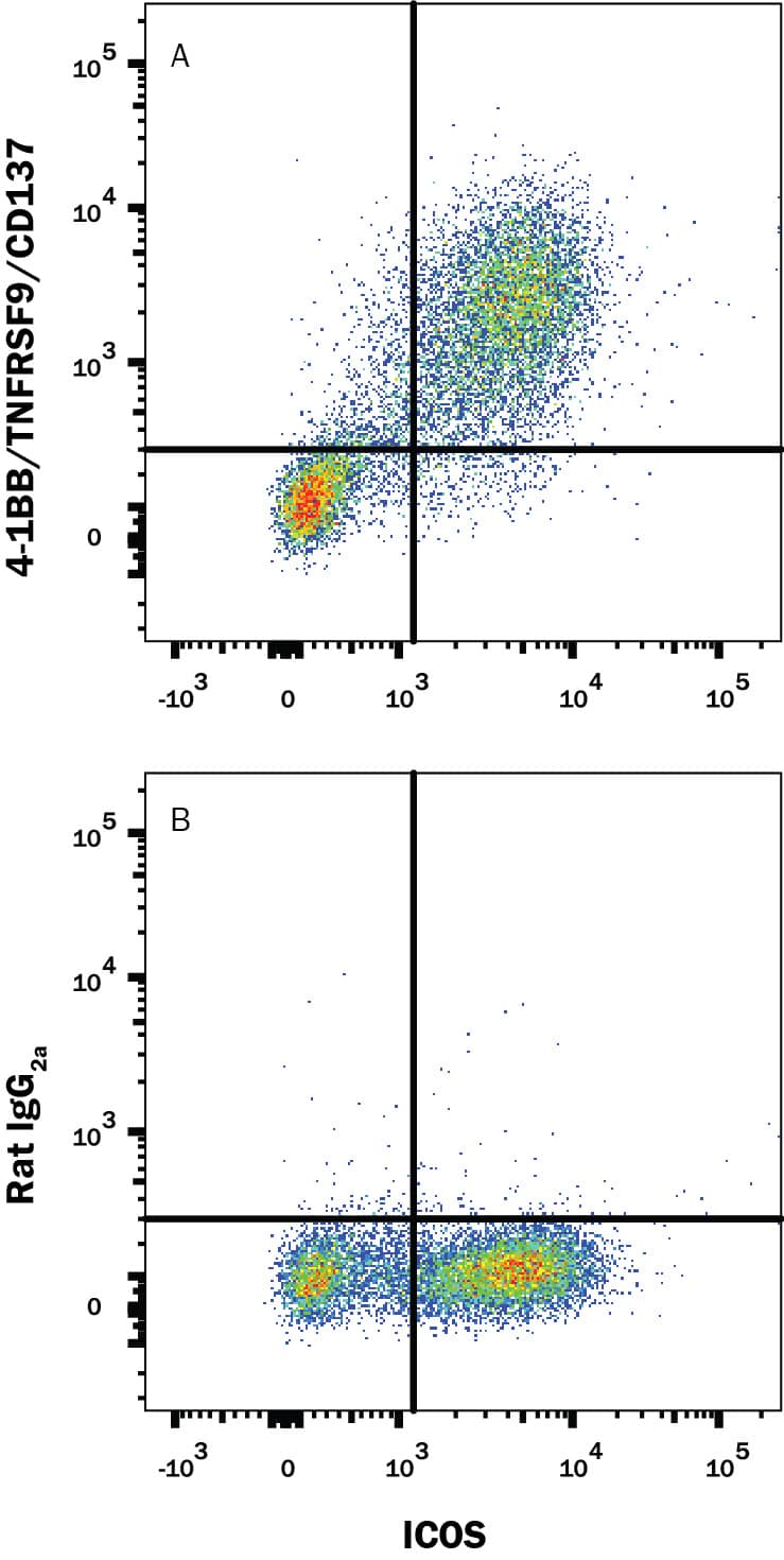 Detection of 4-1BB/TNFRSF9/CD137 antibody in Activated Mouse Splenocytes antibody by Flow Cytometry.