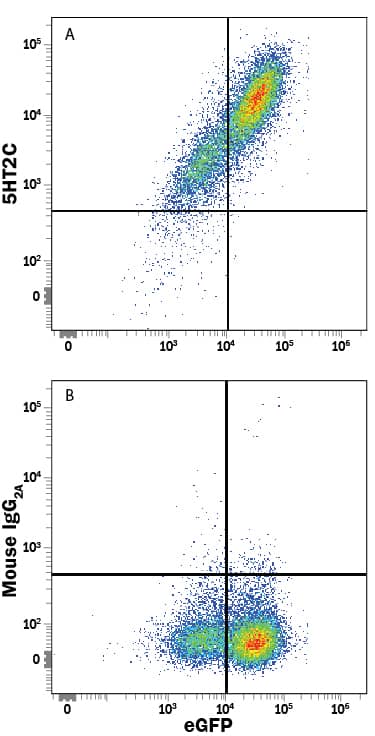 Detection of 5-HT2C antibody in HEK293 Human Cell Line Transfected with Human 5-HT2C and eGFP antibody by Flow Cytometry.