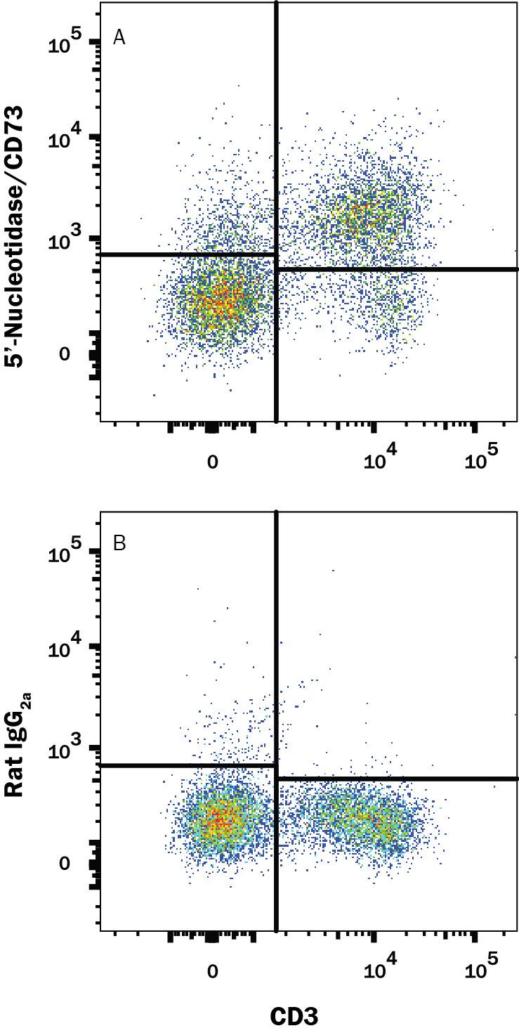 Detection of 5'-Nucleotidase/CD73 antibody in Mouse Splenocytes antibody by Flow Cytometry.