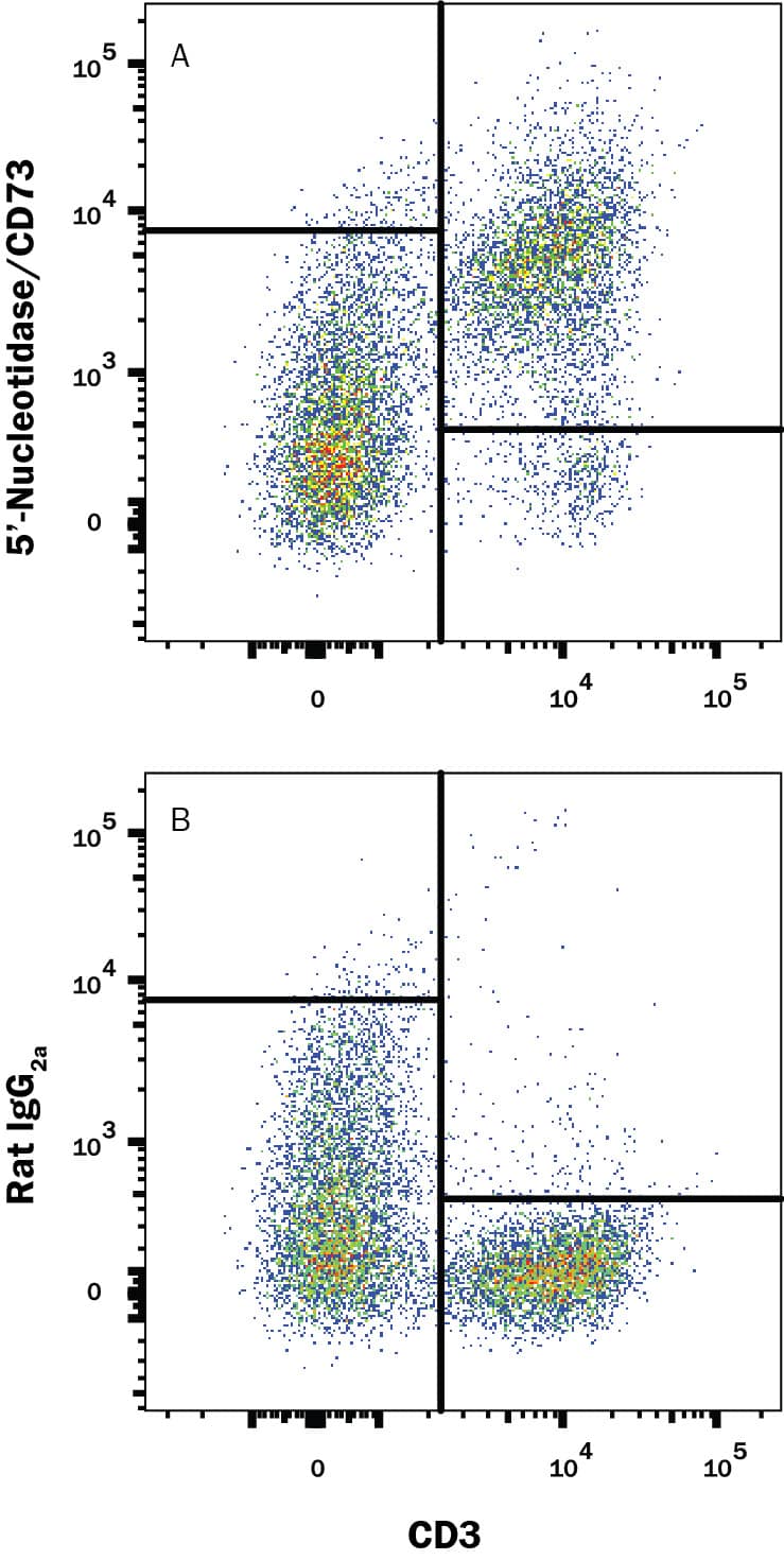 Detection of 5'-Nucleotidase/CD73 antibody in Mouse Splenocytes antibody by Flow Cytometry.