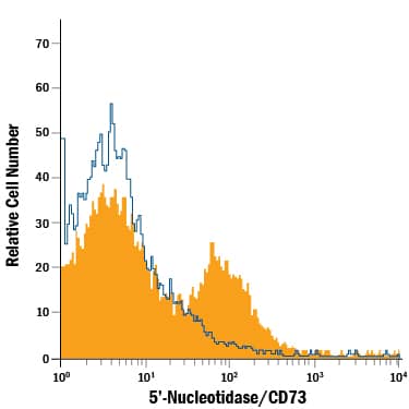 Detection of 5'-Nucleotidase/CD73 antibody in Equine PBMCs antibody by Flow Cytometry.