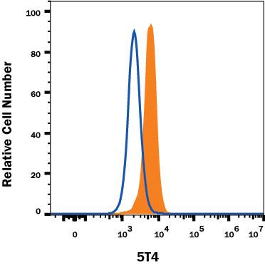 Detection of 5T4 antibody in BG01V Human Cells antibody by Flow Cytometry.