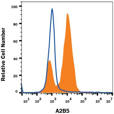 Detection of A2B5 antibody in NTera-2 Human Cell Line antibody by Flow Cytometry.