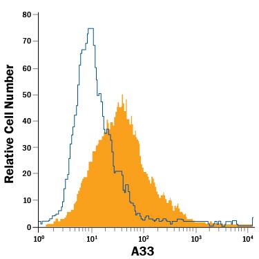 Detection of A33 antibody in HT-29 Human Cell Line antibody by Flow Cytometry.