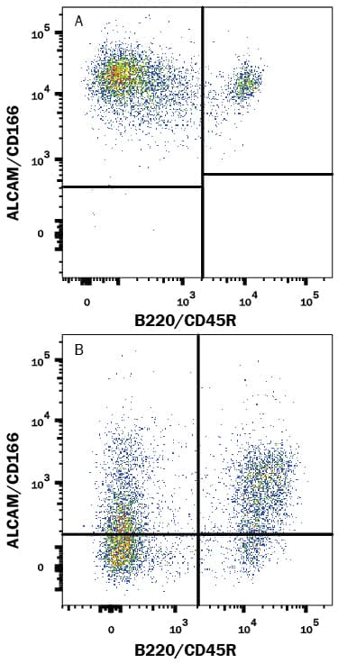 Detection of ALCAM/CD166 antibody in Mouse Splenocytes antibody by Flow Cytometry.