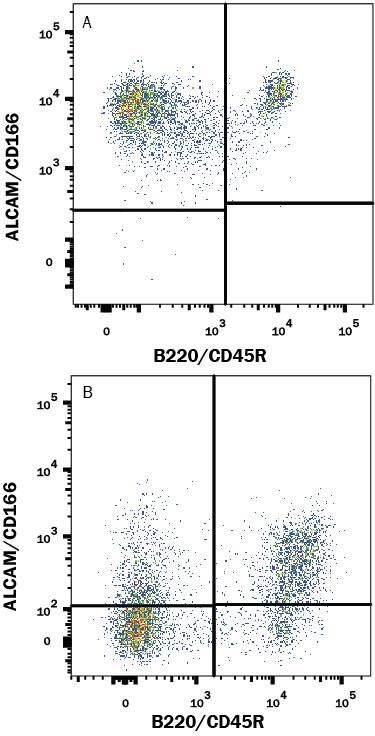 Detection of ALCAM/CD166 antibody in Mouse Splenocytes antibody by Flow Cytometry.