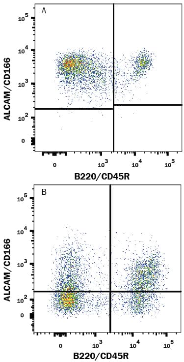 Detection of ALCAM/CD166 antibody in Mouse Splenocytes antibody by Flow Cytometry.