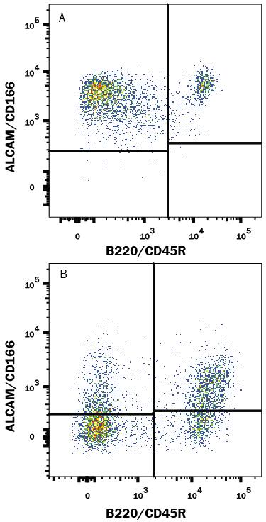 Detection of ALCAM/CD166 antibody in Mouse Splenocytes antibody by Flow Cytometry.