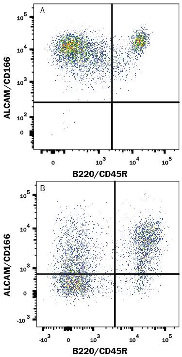 Detection of ALCAM/CD166 antibody in Mouse Splenocytes antibody by Flow Cytometry.