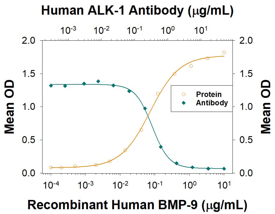 BMP-9 Binding to ALK-1 Blocked by Human ALK-1 Antibody.