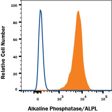 Detection of Alkaline Phosphatase/ALPL antibody in BG01V Human Cells antibody by Flow Cytometry.