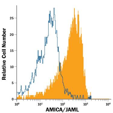 Detection of AMICA/JAML antibody in Human Monocytes antibody by Flow Cytometry.