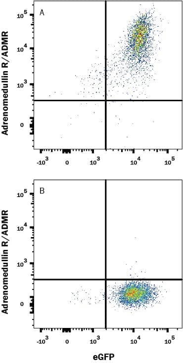 Detection of Adrenomedullin R/ADMR antibody in HEK293 Human Cell Line Transfected with Human Adrenomedullin R/ADMR and eGFP antibody by Flow Cytometry.