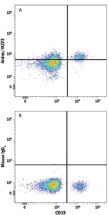 Detection of Aiolos/IKZF3 antibody in Human PBMCs antibody by Flow Cytometry.