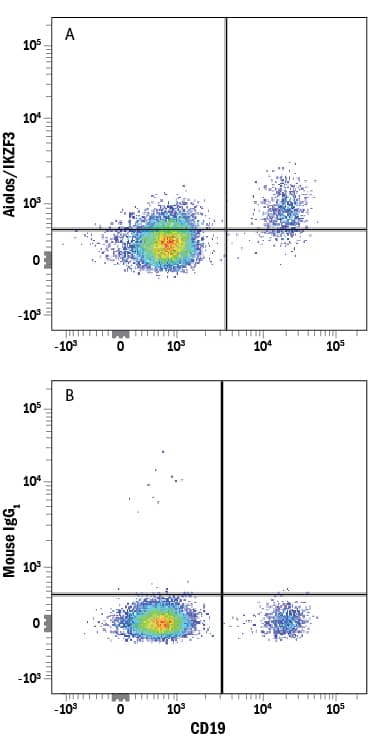 Detection of Aiolos/IKZF3 antibody in Human PBMCs antibody by Flow Cytometry.