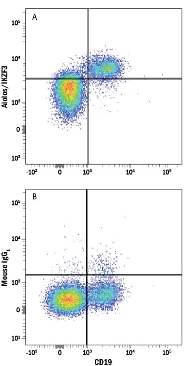 Detection of Aiolos/IKZF3 antibody in Human PBMCs antibody by Flow Cytometry.