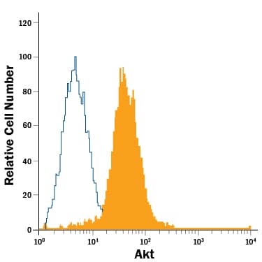 Detection of Akt antibody in Jurkat Human Cell Line antibody by Flow Cytometry.