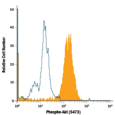 Detection of Phospho-Akt (S473) antibody in Jurkat Human Cell Line antibody by Flow Cytometry.