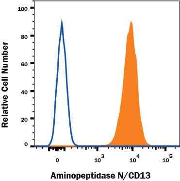 Detection of Aminopeptidase N/CD13 antibody in U937 human cell line antibody by Flow Cytometry.