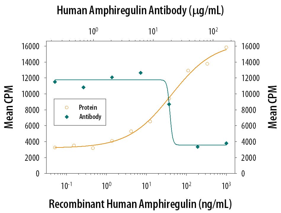 Cell Proliferation Induced by Amphiregulin and Neutralization by Human Amphiregulin Antibody.