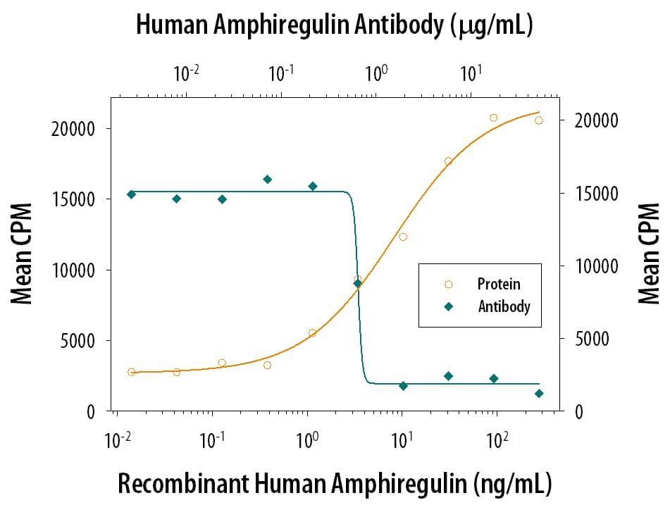 Cell Proliferation Induced by Amphiregulin and Neutralization by Human Amphiregulin Antibody.