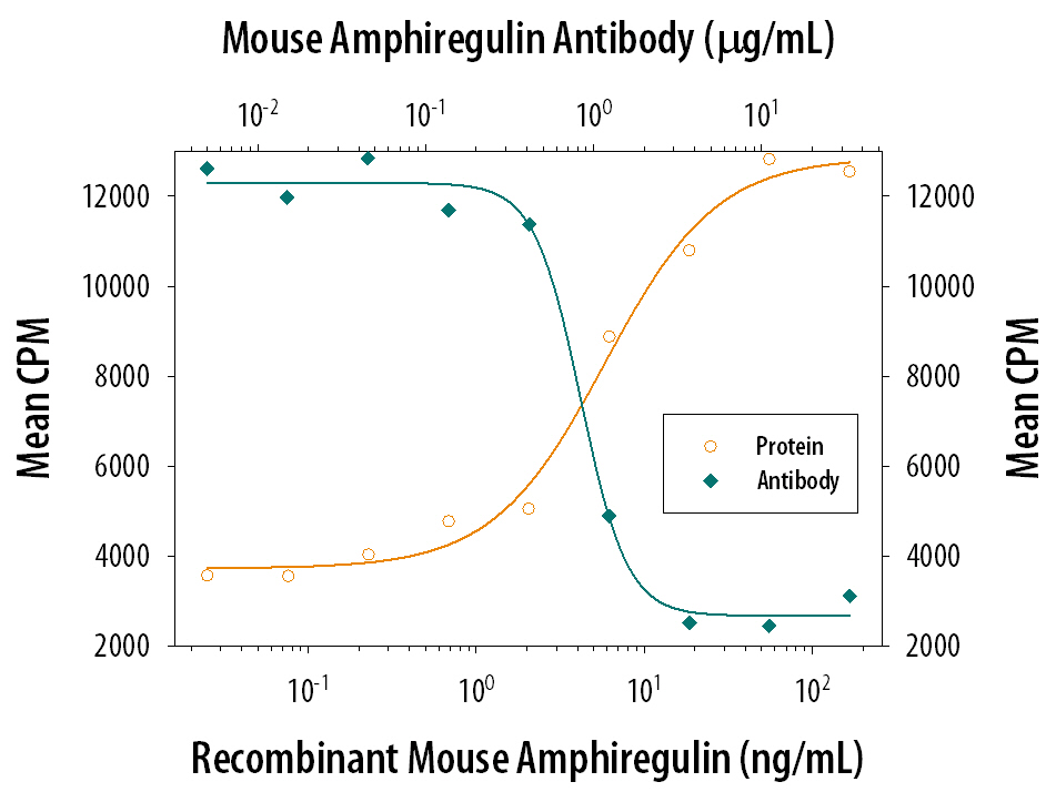 Cell Proliferation Induced by Amphiregulin and Neutralization by Mouse Amphiregulin Antibody.