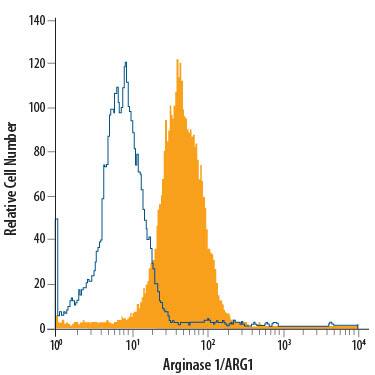 Detection of Arginase 1/ARG1 antibody in HepG2 Human Cell Line antibody by Flow Cytometry.