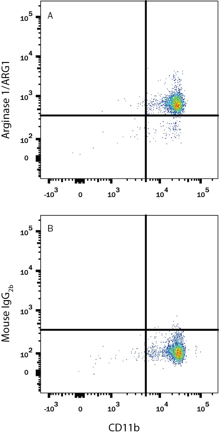 Detection of Arginase 1/ARG1 antibody in Human PBMCs antibody by Flow Cytometry.