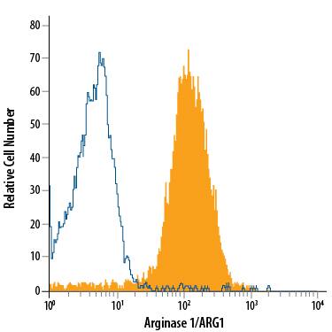 Detection of Arginase 1/ARG1 antibody in HepG2 Human Cell Line antibody by Flow Cytometry.