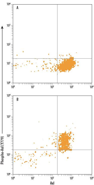 Detection of Phospho-Axl (Y779) antibody in HeLa Human Cell Line antibody by Flow Cytometry.