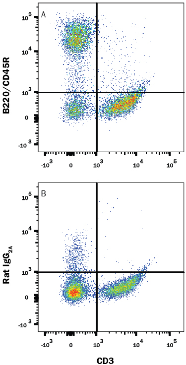 Detection of B220/CD45R antibody in Mouse Splenocytes antibody by Flow Cytometry.
