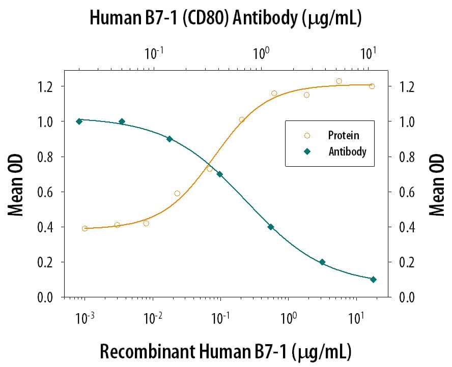 IL‑2 secretion Induced by B7‑1/CD80 and Neutralization by Human B7‑1/CD80 Antibody.