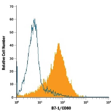 Detection of B7-1/CD80 antibody in Raji Human Burkitt's Cell Line antibody by Flow Cytometry.