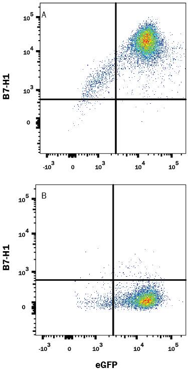 Detection of B7-H1/PD-L1 antibody in HEK293 Human Cell Line Transfected with Mouse B7-H1 and eGFP antibody by Flow Cytometry.