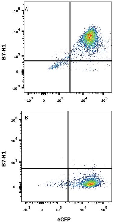 Detection of B7-H1/PD-L1 antibody in HEK293 Human Cell Line Transfected with Mouse B7-H1 and eGFP antibody by Flow Cytometry.