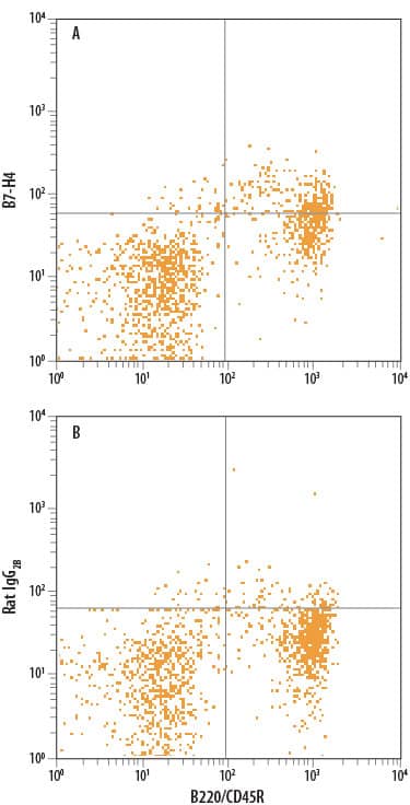 Detection of B7-H4 antibody in Mouse Splenocytes antibody by Flow Cytometry.