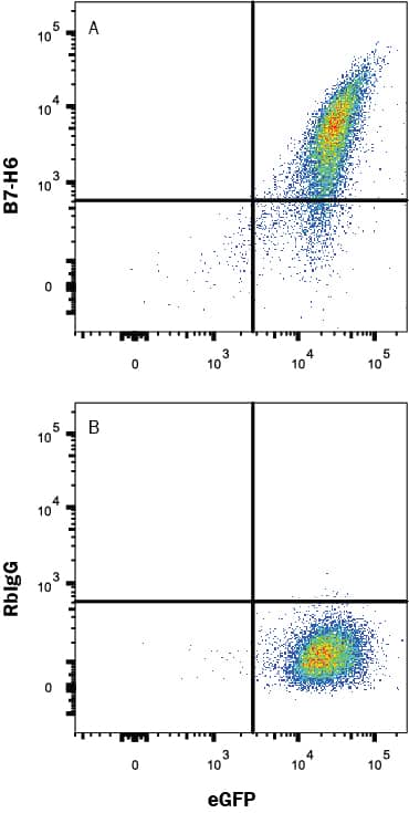 Detection of B7-H6 antibody in HEK293 Human Cell Line Transfected with Human B7-H6 and eGFP antibody by Flow Cytometry.